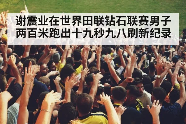 stadium crowd cheering