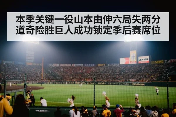 baseball stadium night game