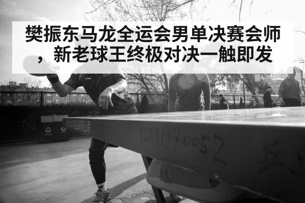 樊振东马龙全运会男单决赛会师，新老球王终极对决一触即发