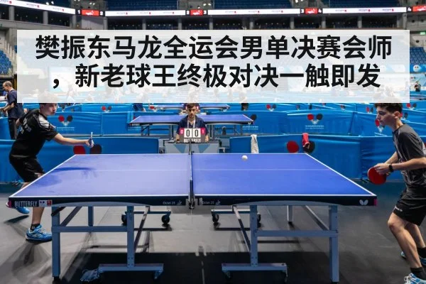 Fan Zhendong table tennis