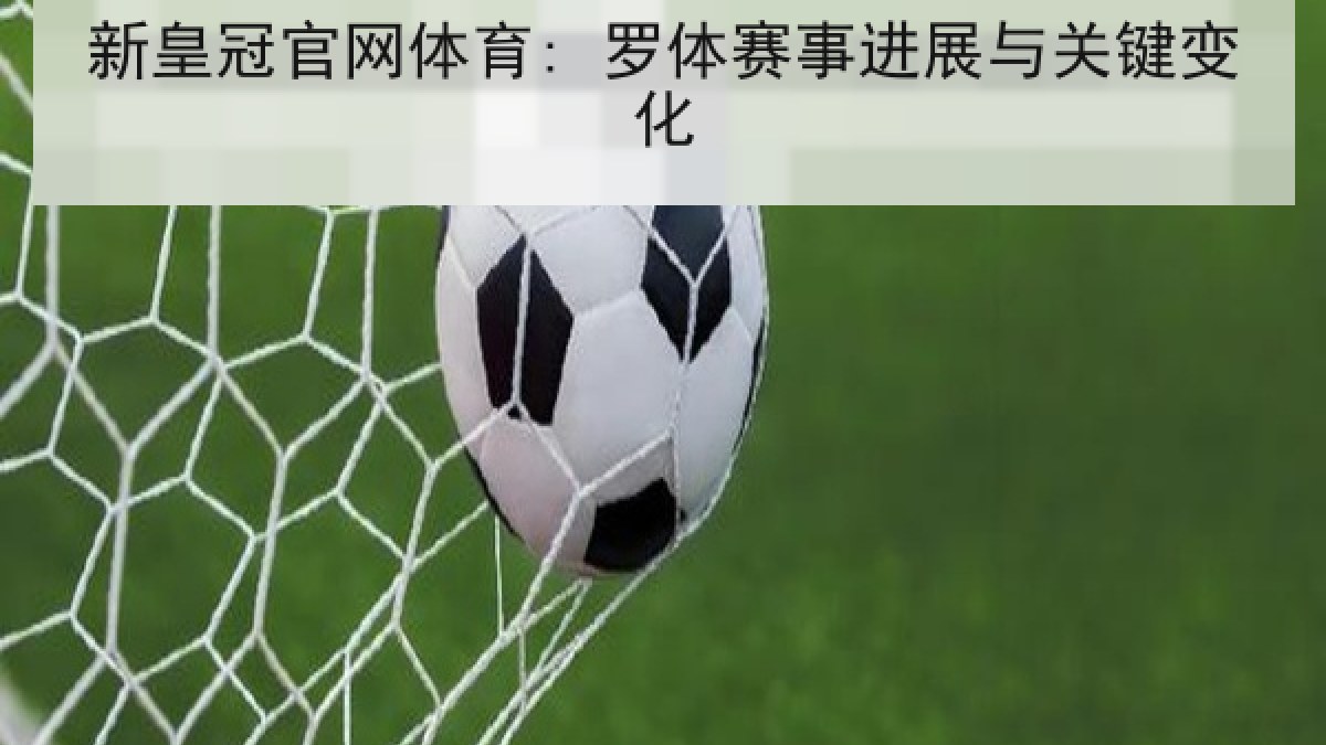 新皇冠官网体育: 罗体赛事进展与关键变化